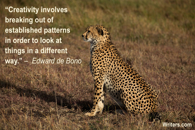 Quotes About Cheetahs. QuotesGram