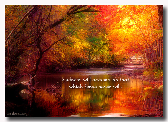 Autumn Colors Inspirational Quotes. QuotesGram
