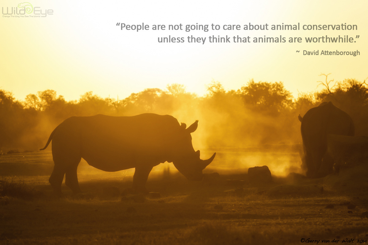 Wildlife Inspirational Quotes. QuotesGram