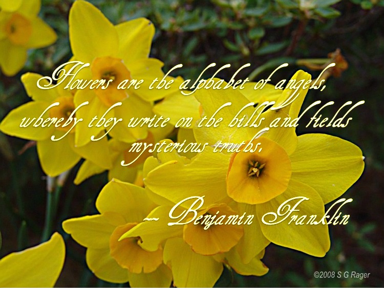 Quotes About Rain And Flowers. QuotesGram