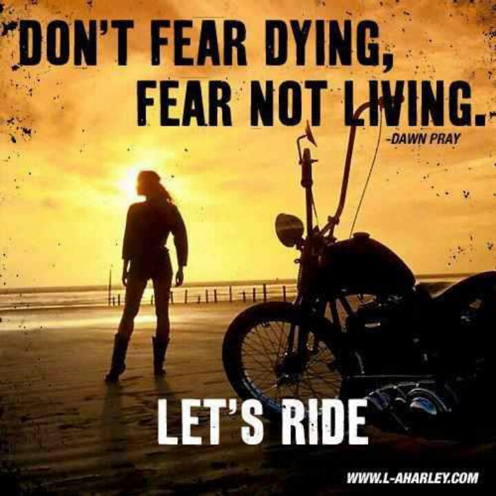 Harley Biker Quotes. QuotesGram