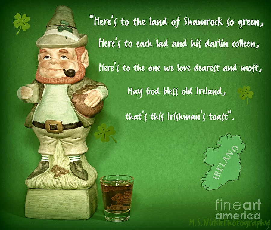 Irish Blessings And Quotes Funny. QuotesGram