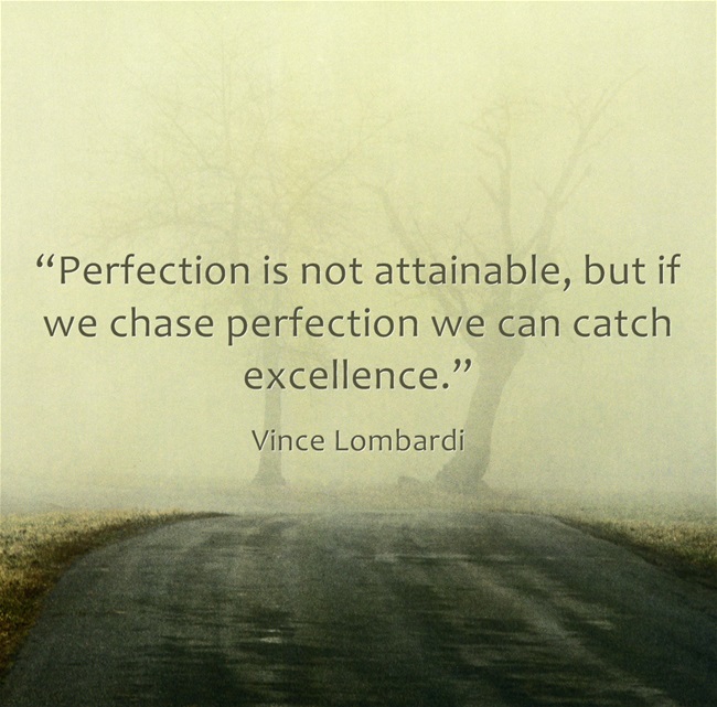 Quotes On Excellence And Perfection. QuotesGram
