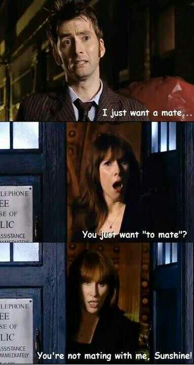 Donna Noble Funny Quotes. QuotesGram