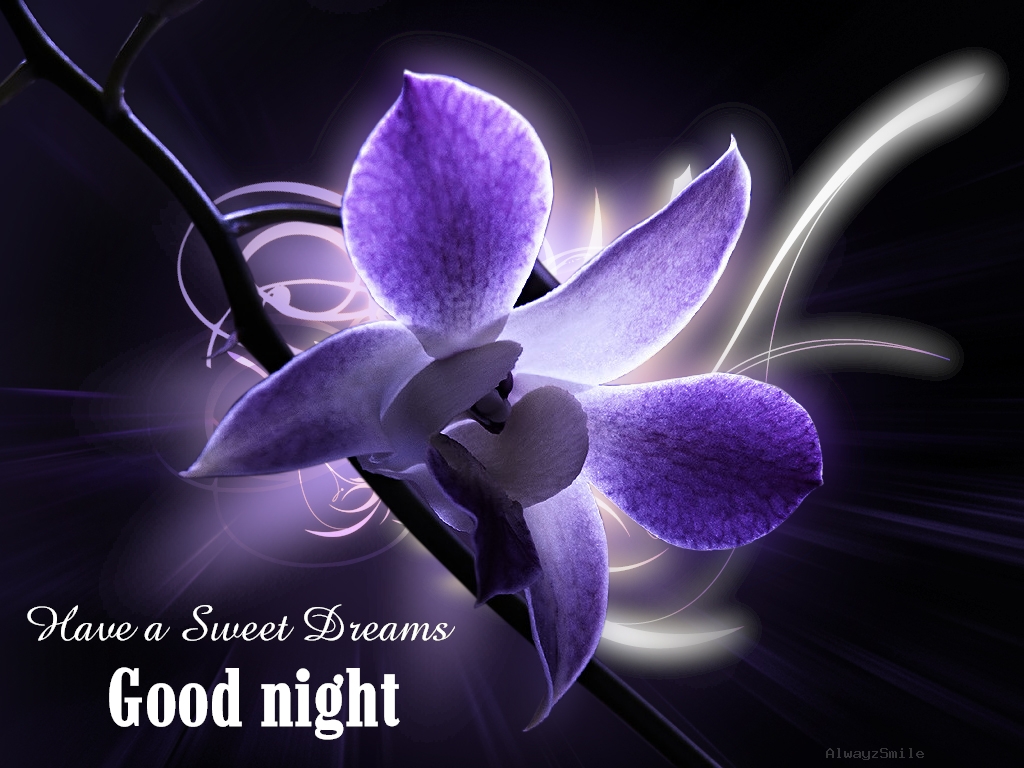 Good Night Sweet Dreams Quotes QuotesGram