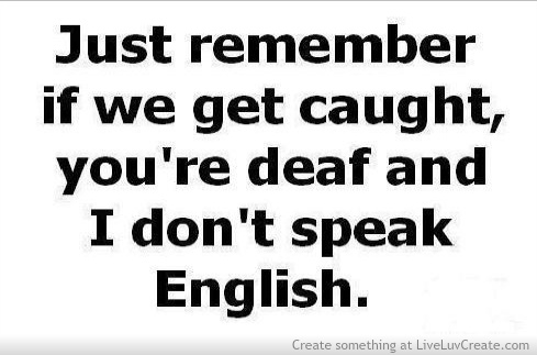 Crazy Humorous Quotes Quotesgram