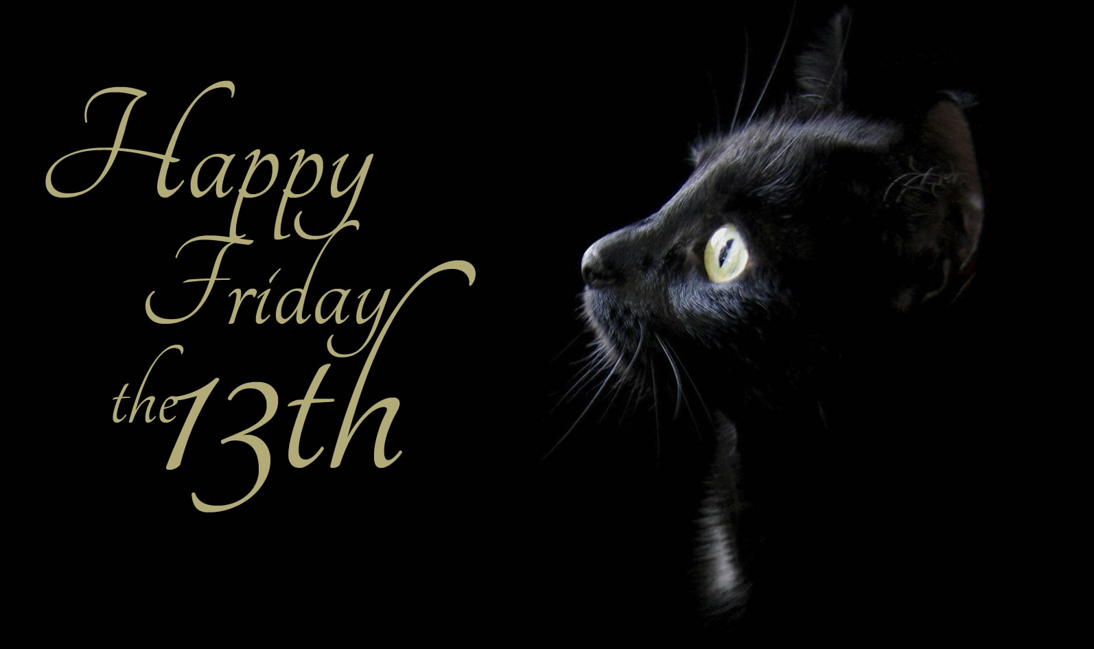 Happy Friday The 13 Quotes. QuotesGram