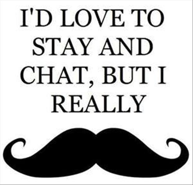 Funny Moustache Quotes Quotesgram