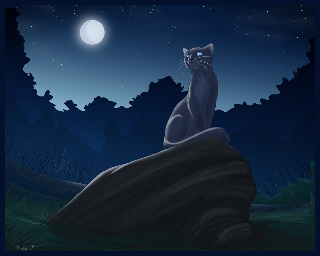 Warrior Cats Blue Star Quotes Quotesgram Warrior Cats Blue Star Quotes Quotesgram
