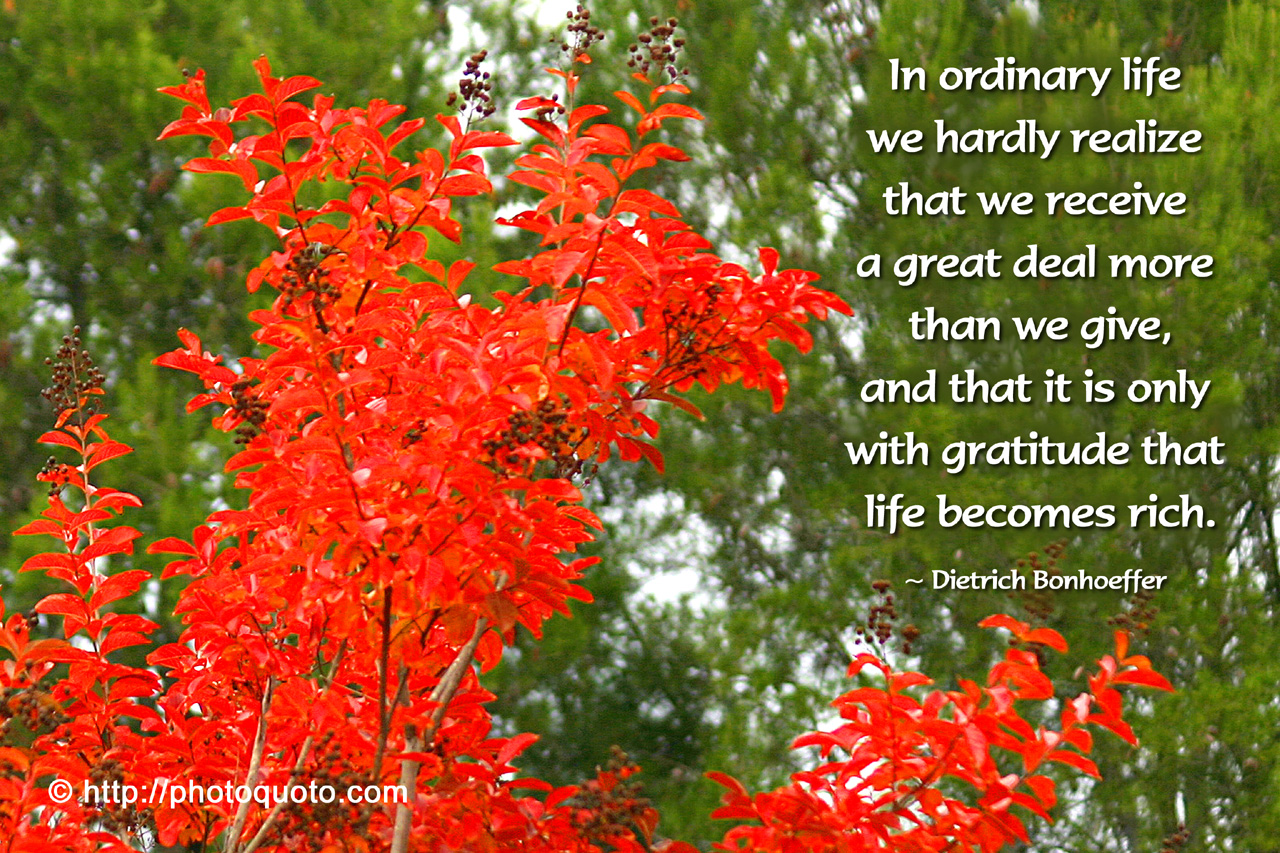 life together bonhoeffer life together bonhoeffer
