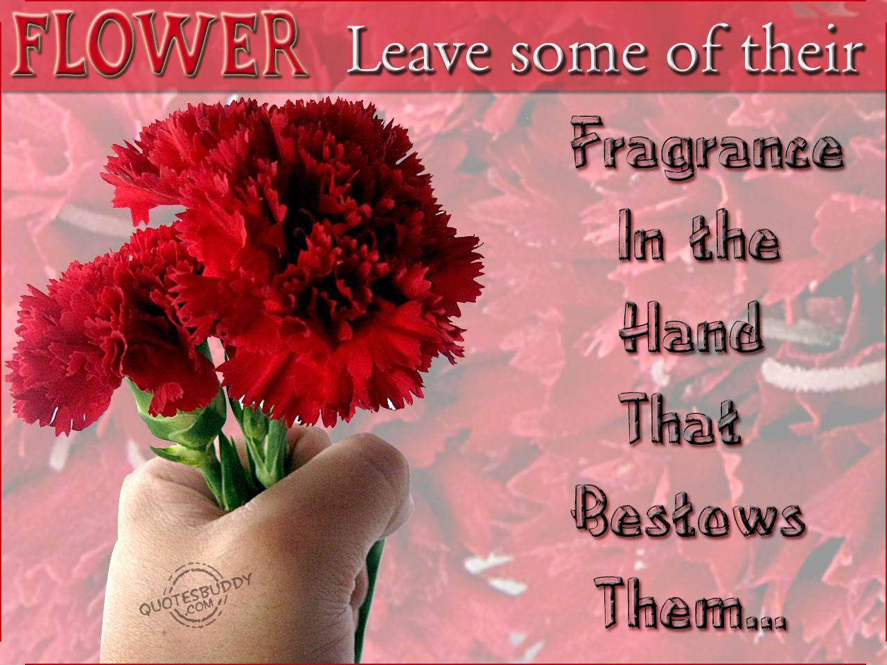  Flower  Bouquet  With Quotes  QuotesGram