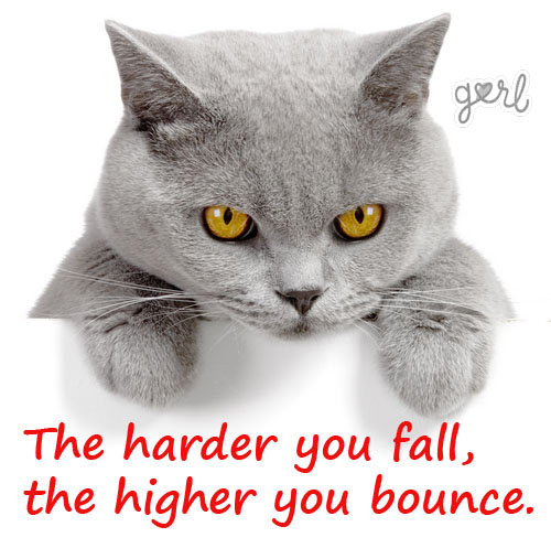 Inspirational Cat Quotes