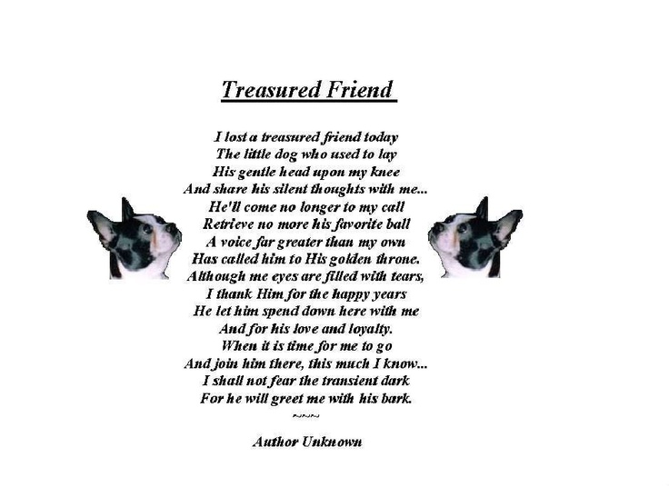 Quotes About Dogs Passing QuotesGram