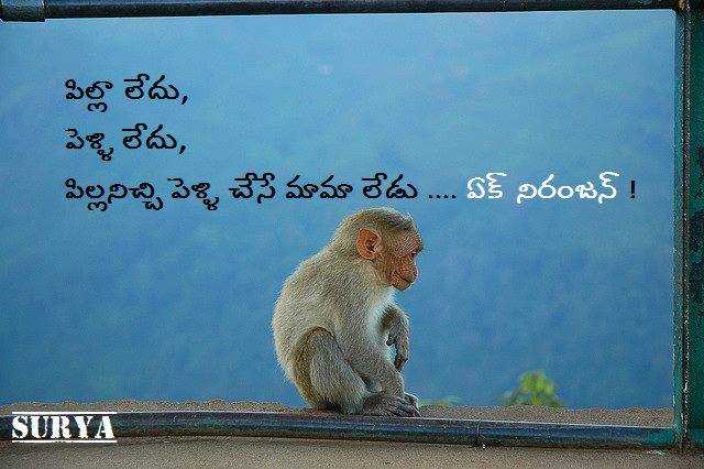 Funny Monkey Quotes And Sayings. QuotesGram