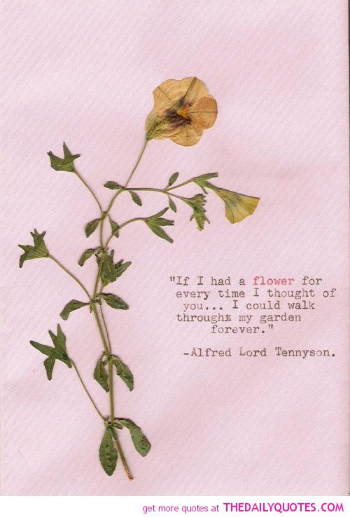 Inspirational Quotes About Flowers. QuotesGram