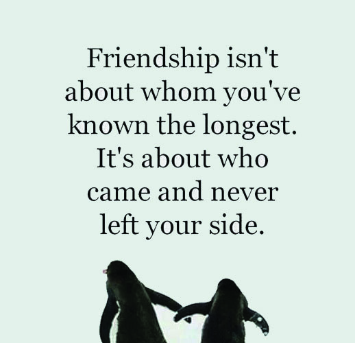 Importance Of Friendship Quotes. QuotesGram