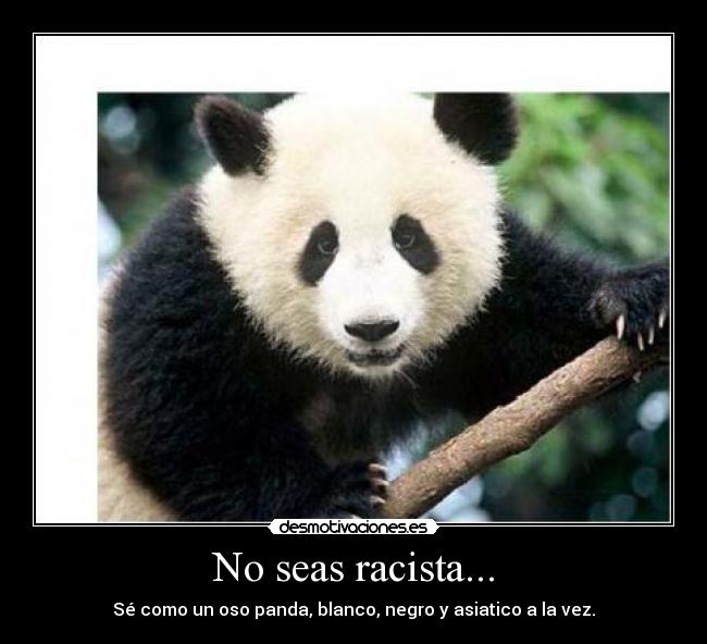 Racist Panda Quotes Quotesgram