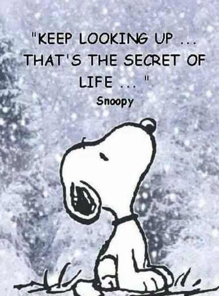 Snoopy Thank You Quotes Quotesgram