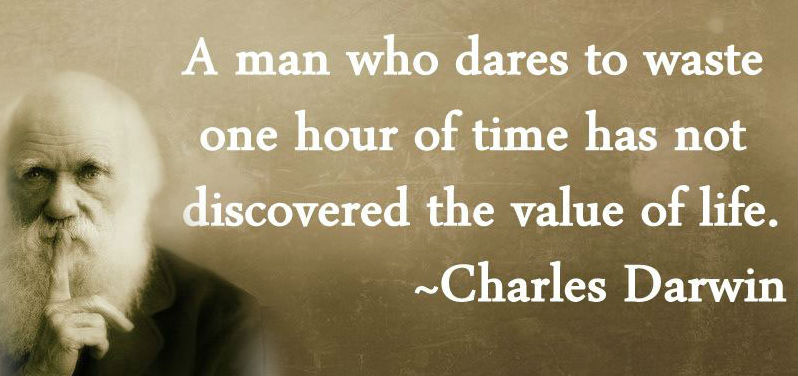 The Descent Of Man Quotes. Quotesgram
