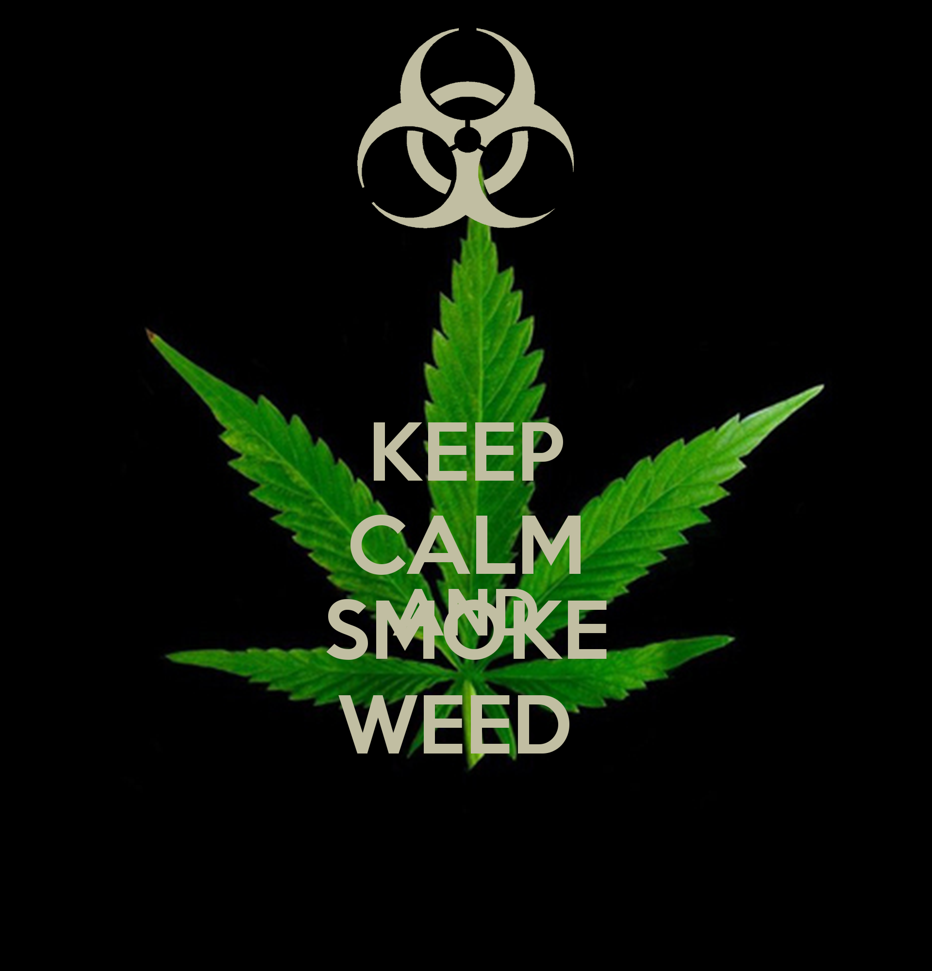 Stay Off The Weed Meme 22 - ofavu9q