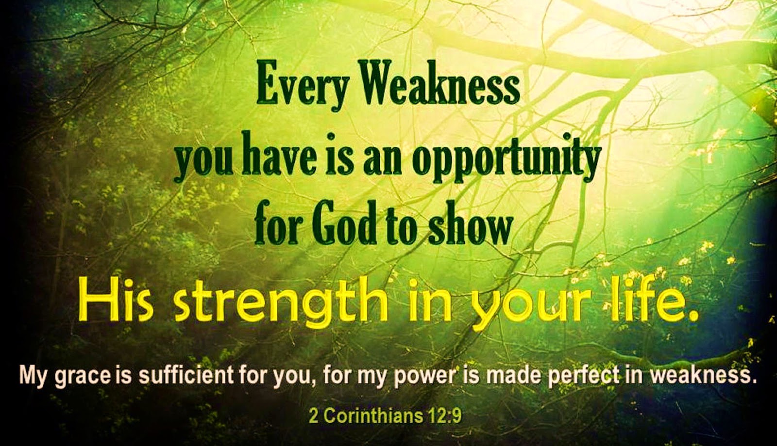Bible Quotes About Business Bible Quotes About Business. Quotesgram