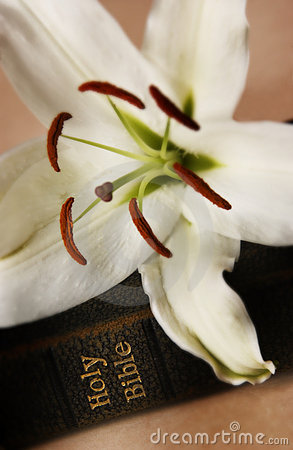 Bible Quotes About Lilies. QuotesGram