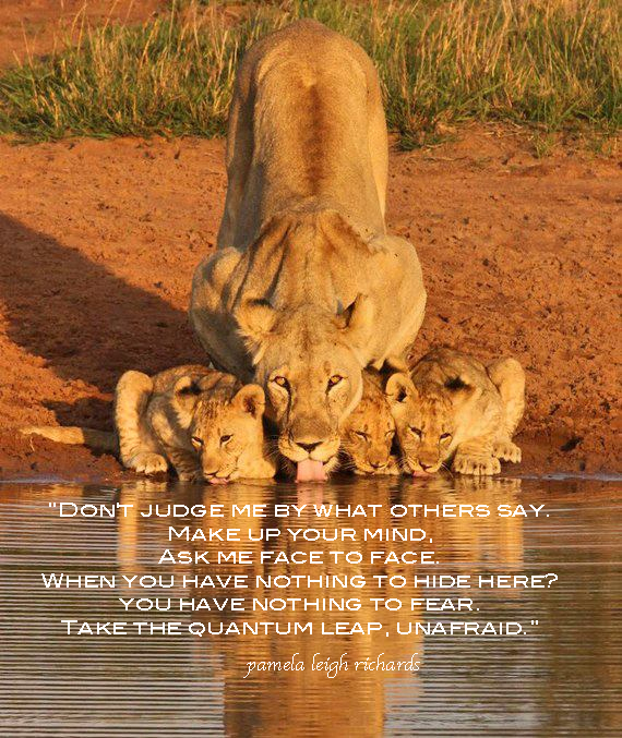 Lioness Protecting Her Cub Quotes. QuotesGram