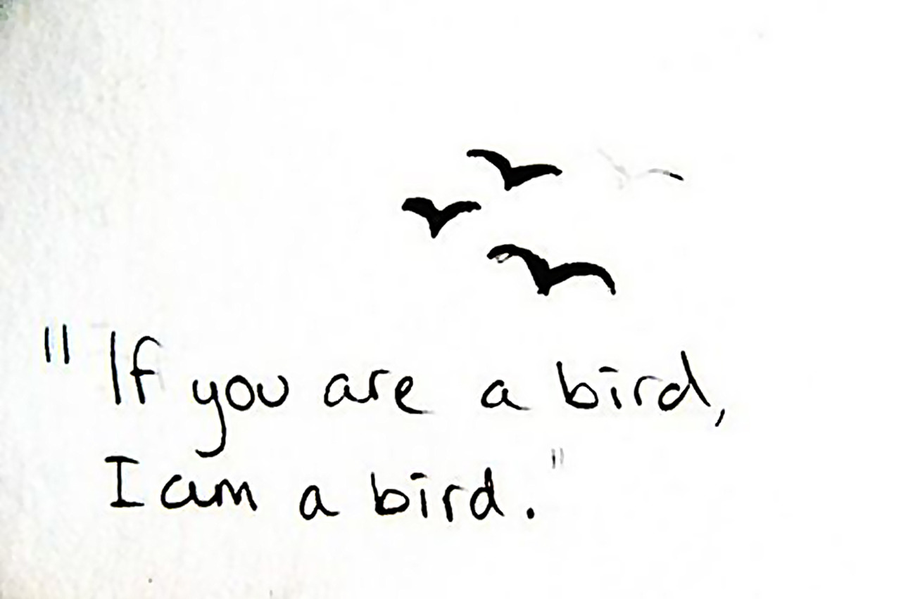 If Your A Bird Notebook Quotes. QuotesGram