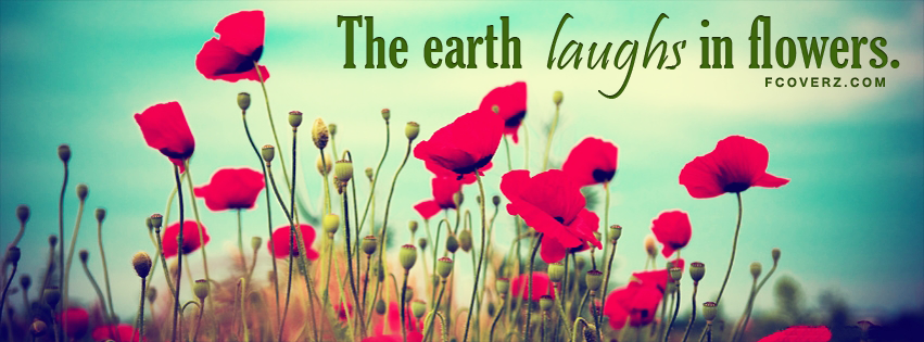 Fb Covers Quotes With Flowers Quotesgram Fb Covers Quotes With Flowers Quotesgram