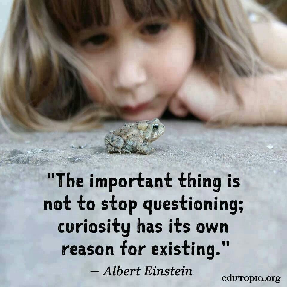 Albert Einstein Quotes About Curiosity. QuotesGram