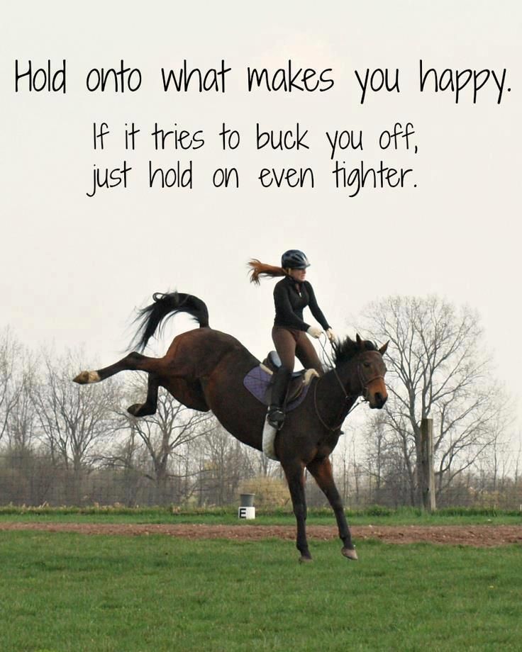 Woman Horse Quotes. QuotesGram
