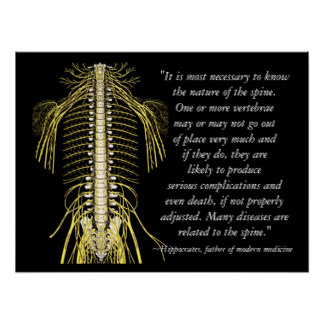 Quotes About Hippocrates Massage Quotesgram