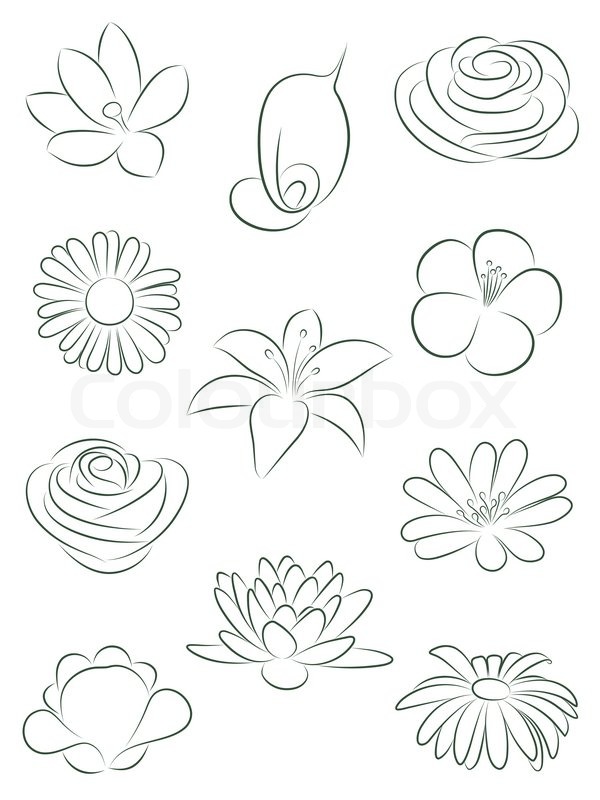 Cute Flowers Drawings With Quotes. QuotesGram