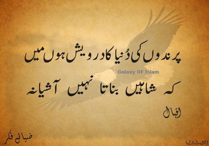 Iqbal Quotes Urdu. QuotesGram