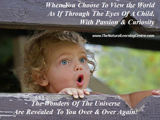 Quotes About Curiosity And Wonder. QuotesGram