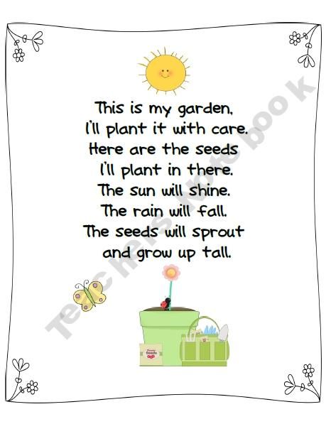 Teacher Quotes About Planting Seeds