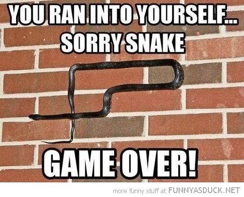 Funny Snake Quotes. QuotesGram
