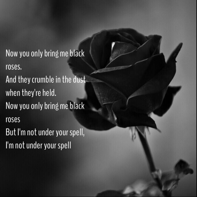 Black Rose Quotes Quotesgram