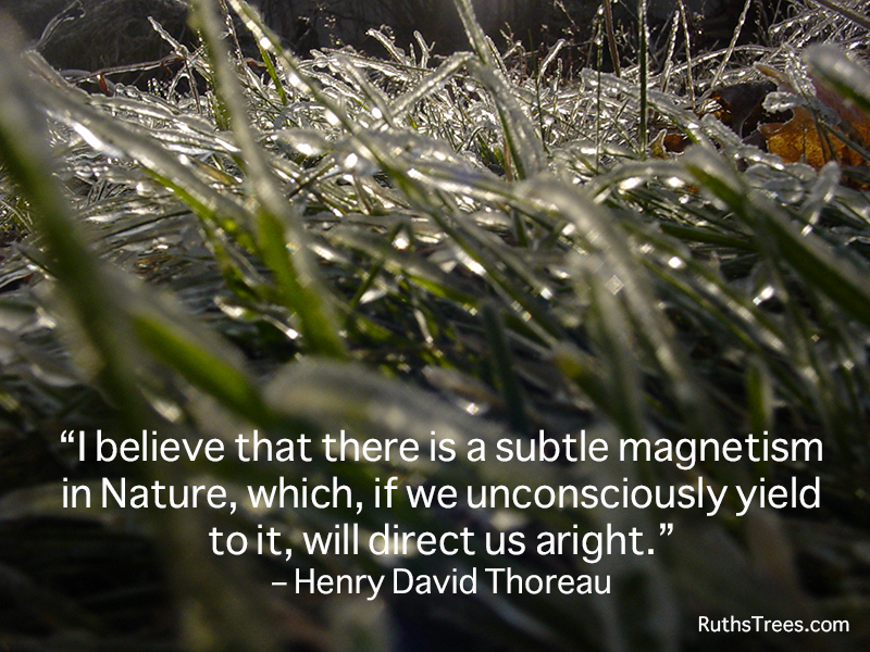 Quotes By Thoreau. QuotesGram