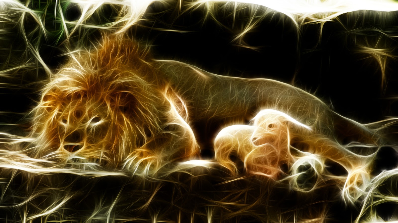 Free download Lion And Lamb Images Wallpaper HD Wide 1808x949 for your  Desktop Mobile  Tablet  Explore 47 Lion and Lamb Wallpaper  Black and  White Lion Wallpaper Lamb Wallpaper Easter Lamb Wallpaper