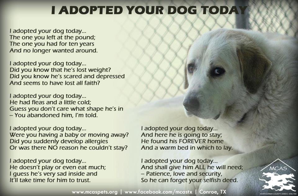 Dog Adoption Quotes QuotesGram