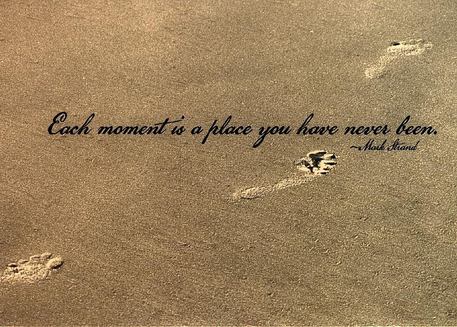 Inspiring Quotes About Footprints QuotesGram Inspiring Quotes About Footprints QuotesGram