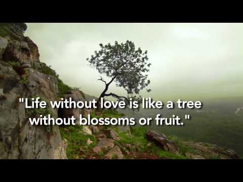 Life Is Like A Tree Quotes. QuotesGram