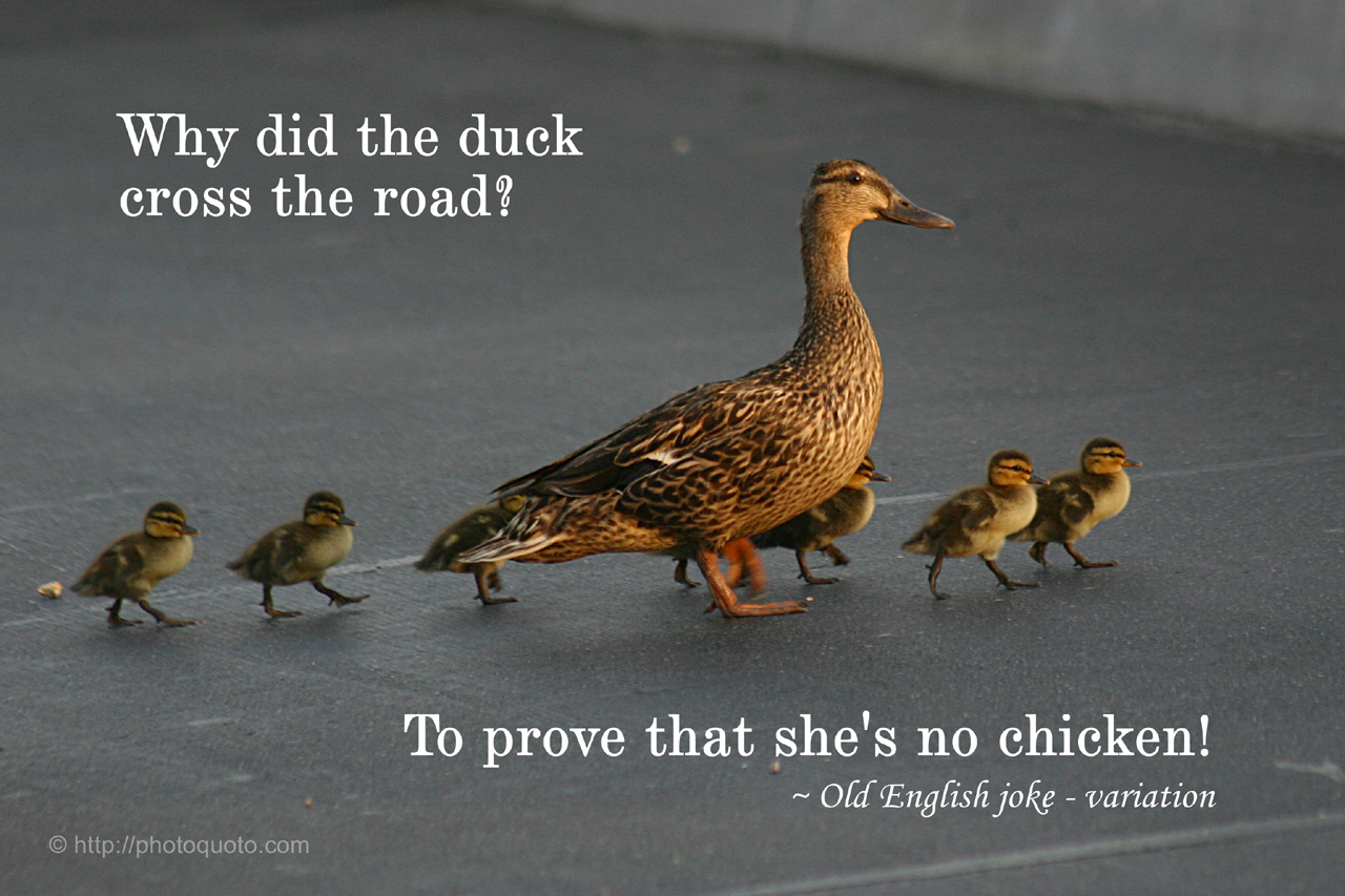 old-sayings-quotes-quotesgram