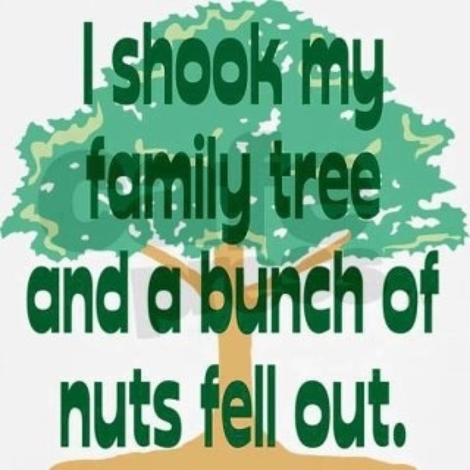 Funny Quotes About Family Trees. QuotesGram