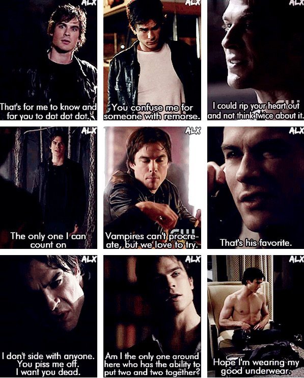 Funny Damon Quotes Vampire Diaries Quotesgram