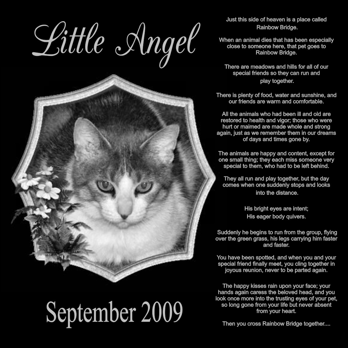 Pet Memorial Sayings Quotes QuotesGram pet-memorial-sayings-quotes-quotesgram