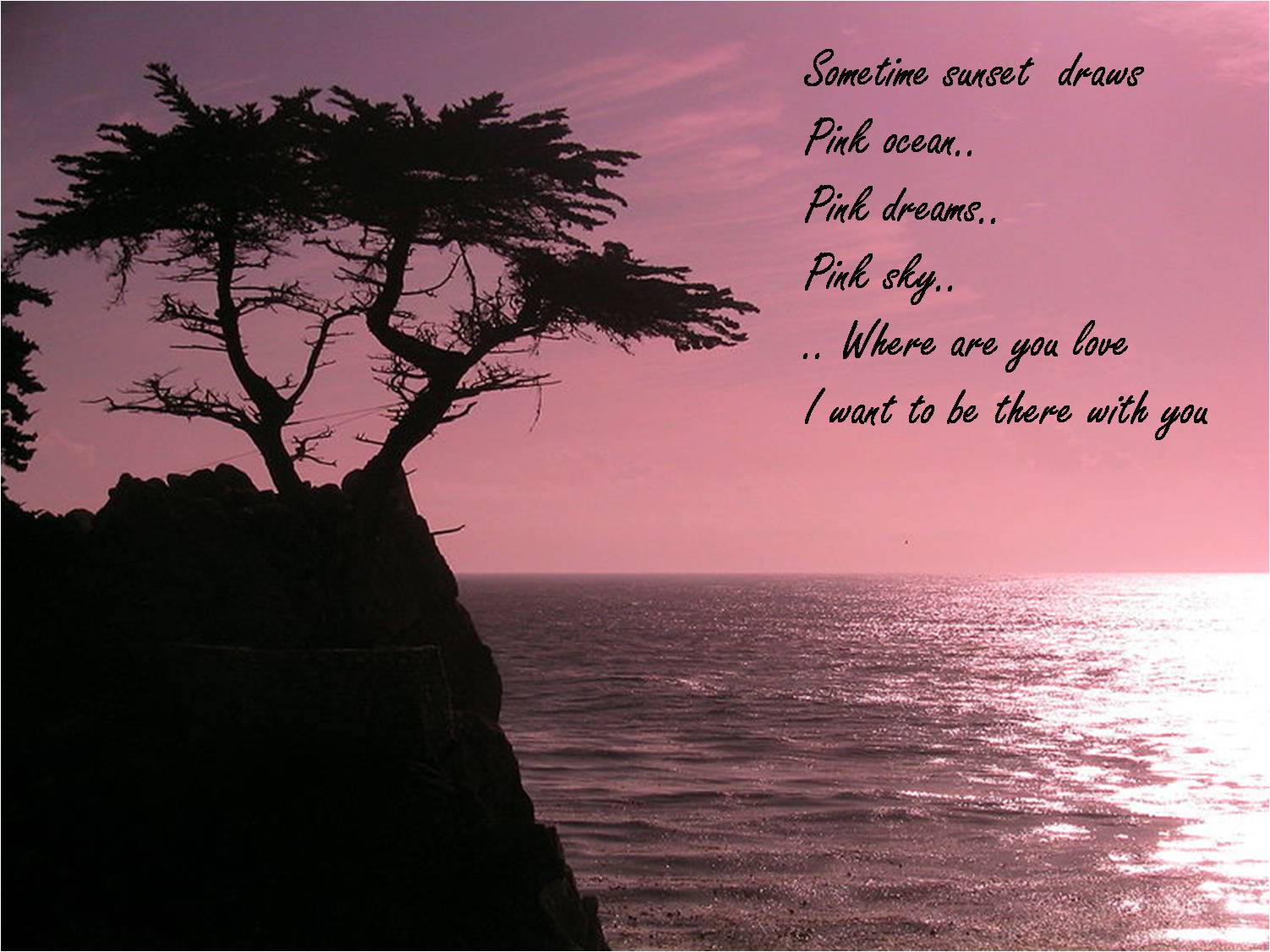 Romantic Sunset Quotes Quotesgram