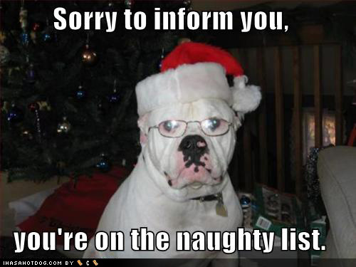 Dog Funny Christmas Quotes. QuotesGram