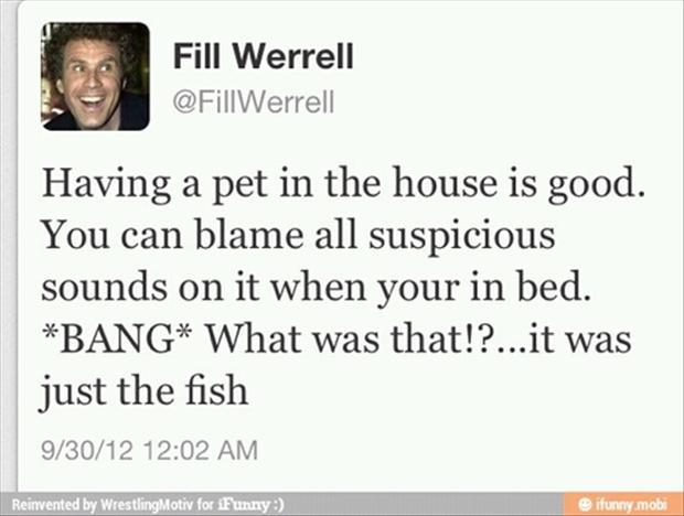 Will Ferrell Funny Quotes. QuotesGram